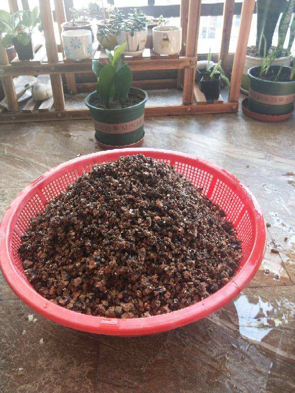 “垃圾”不要扔,拿來養花效果好,扔掉就是扔錢 “垃圾”不要扔,拿來養花效果好,扔掉就是扔錢