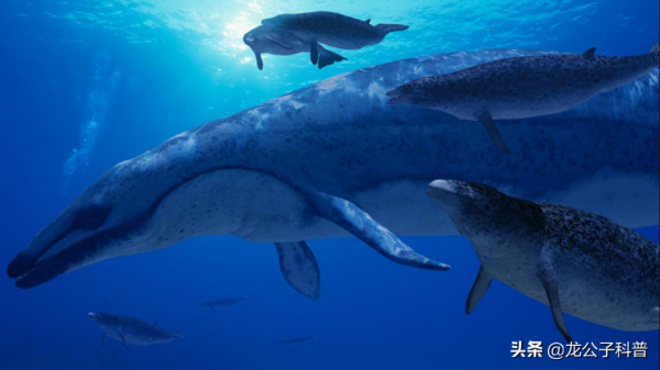 地球正在走出“大冰期”？警惕“雪球地球”悲劇重演