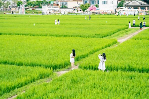 喜洲古鎮，許你一個綠野仙蹤的童話夢境