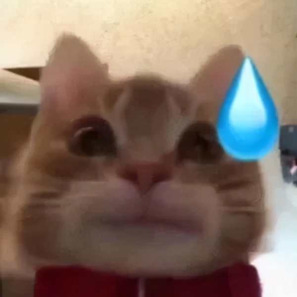 看到這波更新，我再也不想用QQ了