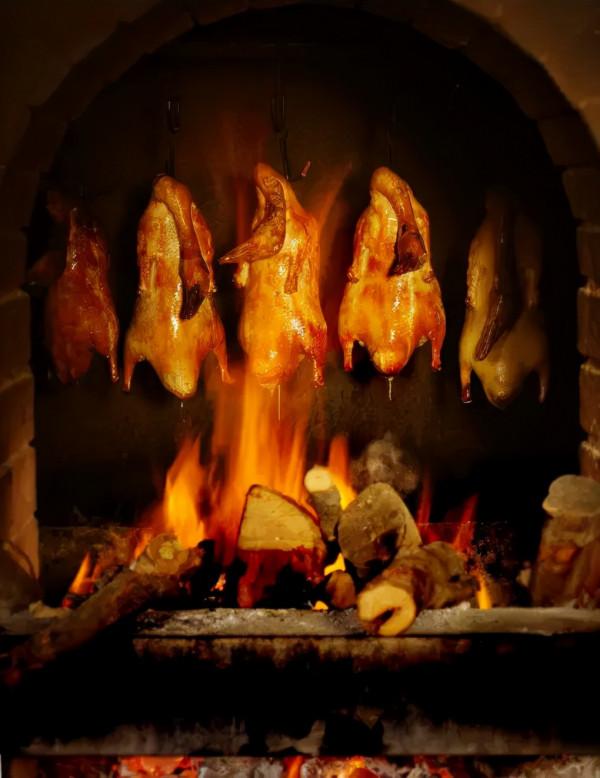 地球上有能放電的動物，為什麼沒有噴火的動物？