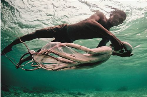 巴瑤族人出現&OpenCurlyDoubleQuote;人類正在進化&rdquo;的證據，未來會有新人類誕生嗎？