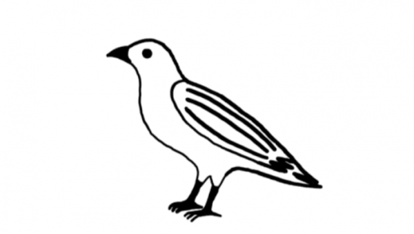 一個撼動科學推理基礎的悖論，烏鴉悖論，如何真正理解烏鴉悖論？