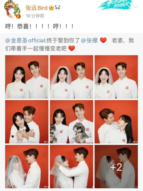 小五結婚只有張遠祝賀，《天天向上》和至上勵合的團魂去哪裡了