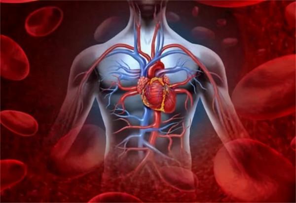 甘油三酯和膽固醇都是高血脂，有什麼區別？如何降低？