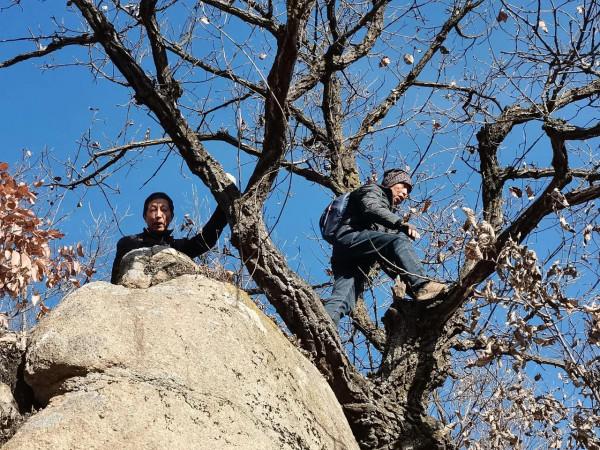 遊汝陽西石林之一武家山