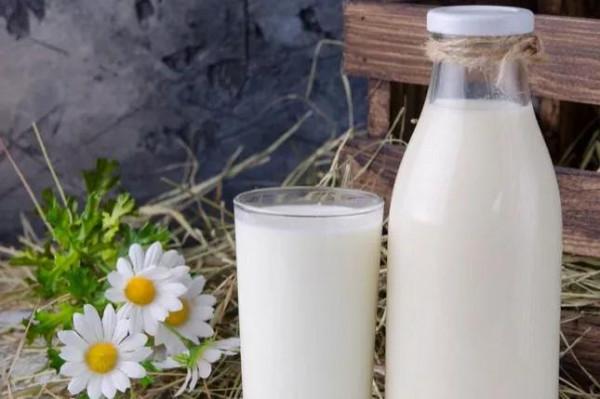 全國哪的純奶最好喝？透過篩選，這7個地方脫穎而出，有你家鄉嗎