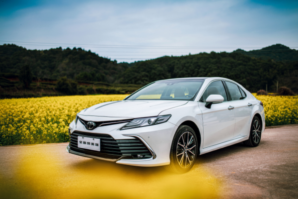 12月轎車銷量丨英朗、速騰、思域大跌，凱美瑞、帕薩特支稜起來了