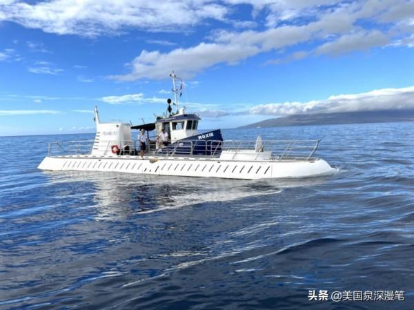 乘風破浪觀賞巨鯨 海底探險博覽魚群