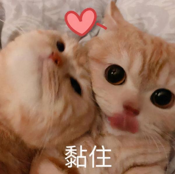 「萬國文明盤點」喜歡用騎兵開集結的朋友們選阿拉伯就對了 「萬國文明盤點」喜歡用騎兵開集結的朋友們選阿拉伯就對了