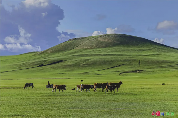 行攝草原丨盛夏走進清涼草原 感受悠閒夏日時光 行攝草原丨盛夏走進清涼草原 感受悠閒夏日時光