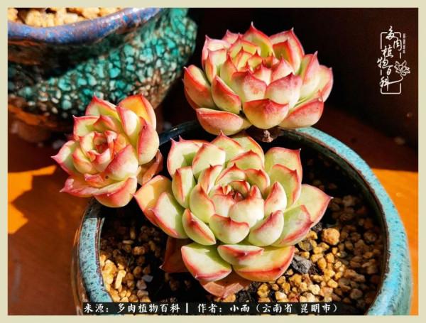 用一份熱愛，溫暖一段時光