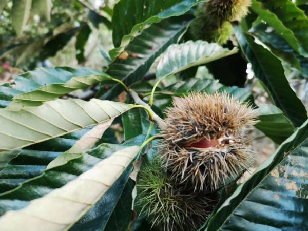 摩托周邊旮旯遊——尋朱元璋出家之於皇寺 摩托周邊旮旯遊——尋朱元璋出家之於皇寺