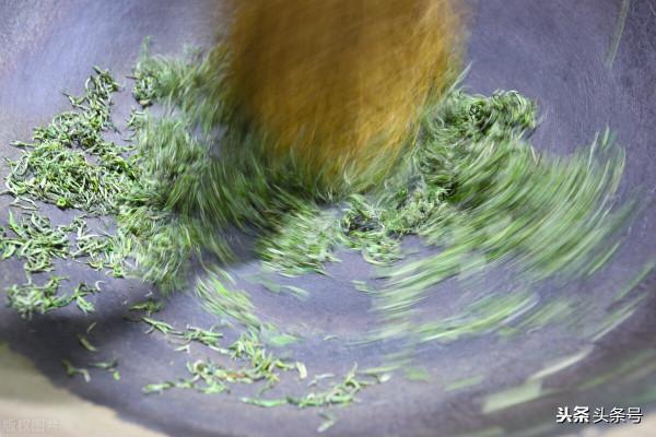 茶葉這個時間飲用才最健康！細說六大茶類的最佳飲用期