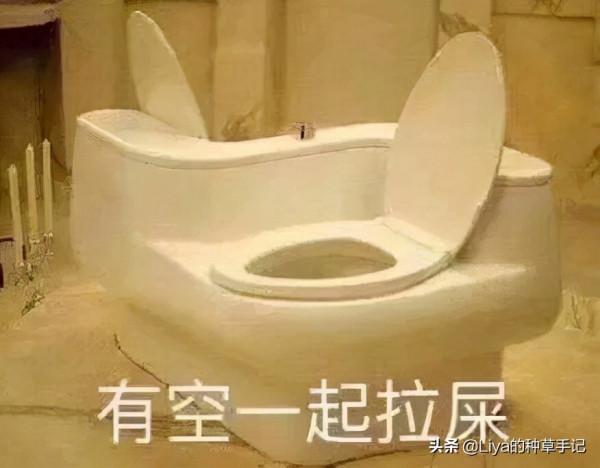 今年買的東西里，這8樣最滿意