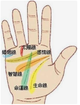 有沒有人給你看過手相，說了些什麼，真的靈驗了嗎？