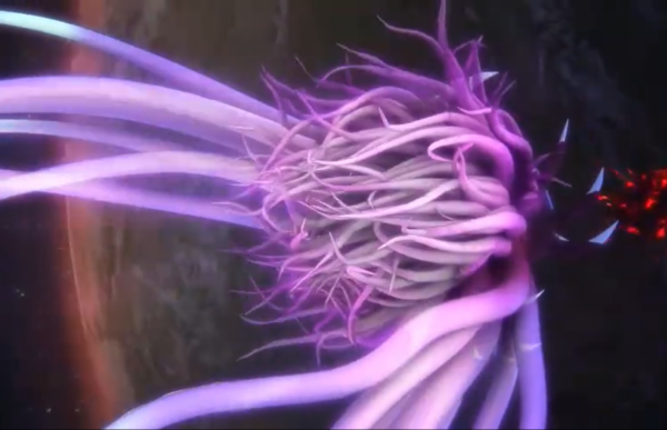 國產動畫《鬥神姬》雖然槽點很多，但完結後，居然發現了3個優點