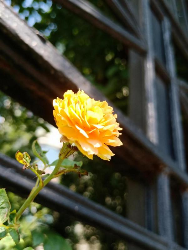 國慶七天——一日遊 國慶七天——一日遊