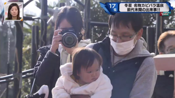 堅持不想泡澡的水豚｜日本冬至泡柚子湯傳統 遊客等了一個多小時