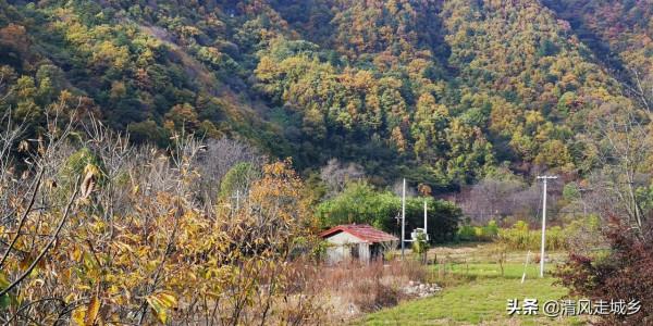 秦嶺深處有人家