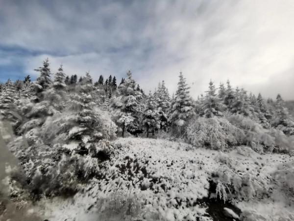 九寨溝的第一場雪 晶瑩剔透 恍若進入了童話世界