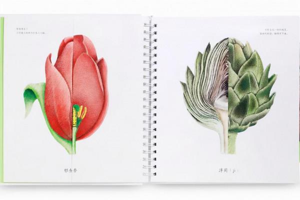 超級全面 建議收藏 12套中國風繪本盤點