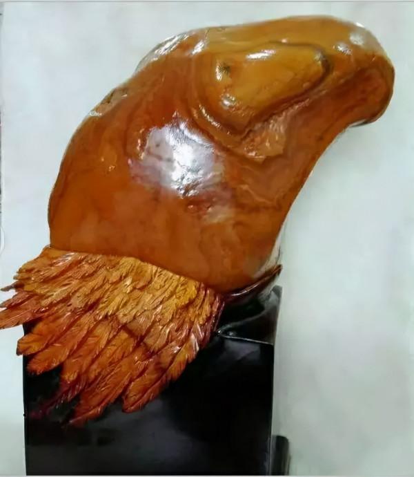 高價成交的66方奇石欣賞