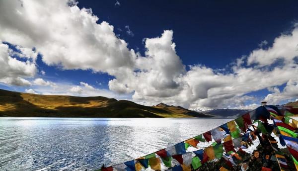 西藏羊卓雍措湖，魚多達8億公斤，魚群氾濫成災，為何無人敢吃？