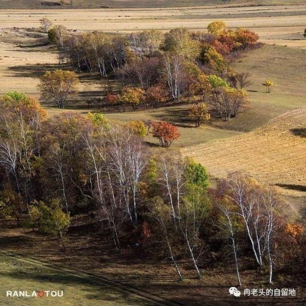 「青未了」冉令傑|南井,那一抹血紅的曙色 「青未了」冉令傑|南井,那一抹血紅的曙色