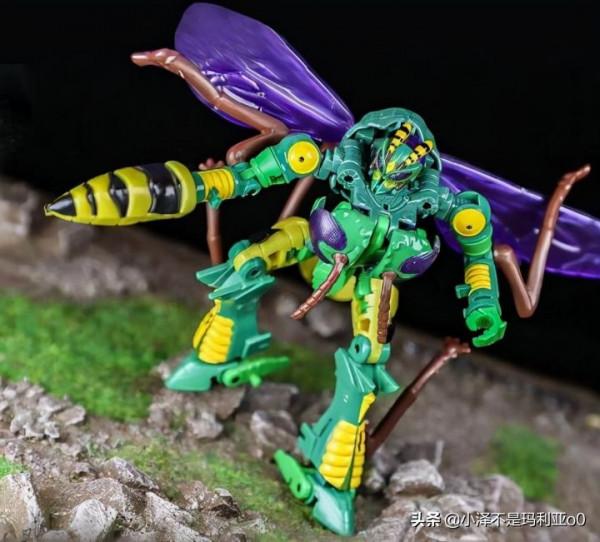 變形金剛《王國》系列紅黑榜大盤點！哪些值得買看完你就知道了