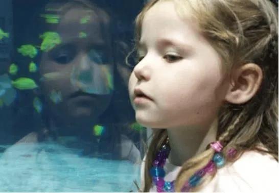 寶寶取名：溫柔知性、婀娜多姿的女孩名字