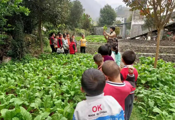 白河縣茅坪鎮中心幼兒園:良師引導興趣好 遊戲探索促成長 白河縣茅坪鎮中心幼兒園:良師引導興趣好 遊戲探索促成長