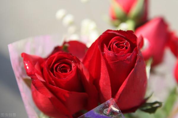 短篇小說：高危結婚證