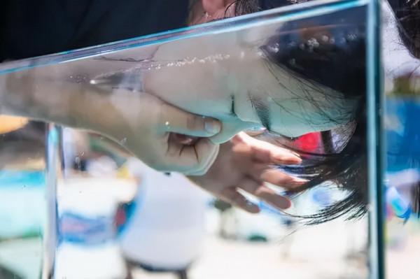 憋氣時間長的人，一般都是長壽的命？看看你離傑尼斯記錄有多遠