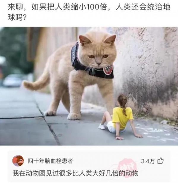 神回覆：我肯定選51歲的，這就是格局，這就叫做有遠見