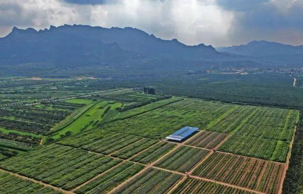 今日冬至:漫漫冬夜,烹雪煎茶,不枉人間百年 今日冬至:漫漫冬夜,烹雪煎茶,不枉人間百年