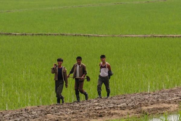 從朝鮮新義州到平壤，平壤和其他地區差別很大