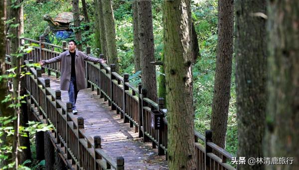 河南這個免門票的景區，爬山不累人，秋景好看，適合中老年人