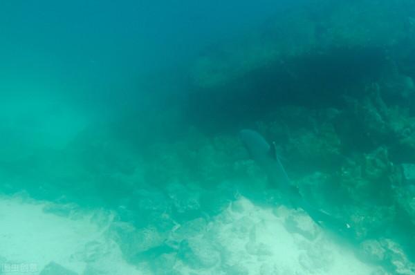 打響海洋爭奪第一槍，中國建造海底2000米龍宮，日本竟要技術共享