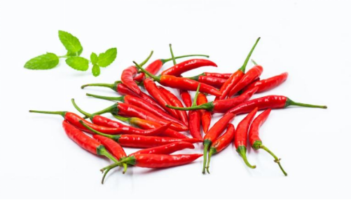 冬季總出腳汗，到底是什麼情況？