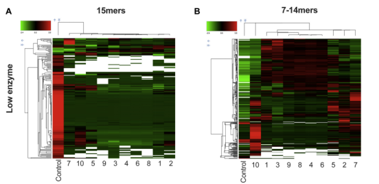 Journal of Biological Chemistry| 2021年10月份最新文章導讀