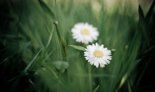 25歲後,4個星座,憑真心取勝,人際關係取得突破,朋友緣不錯 25歲後,4個星座,憑真心取勝,人際關係取得突破,朋友緣不錯