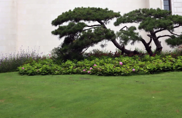 免費！北京超小眾寶藏莊園，濃濃法式風情！小洋樓絕美！