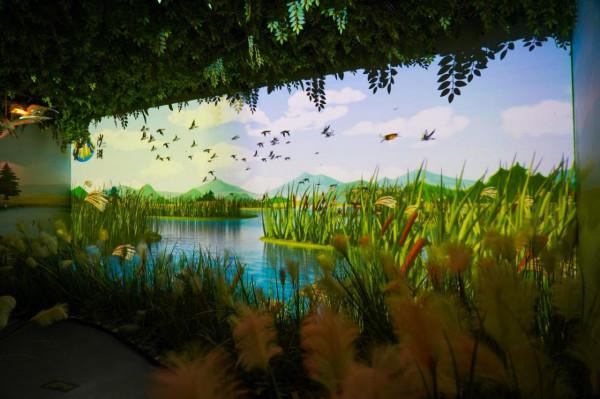 沙湖:感受一半沙漠一半湖水 沙湖:感受一半沙漠一半湖水