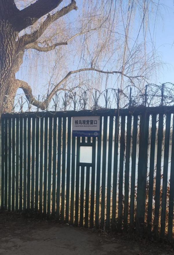 今天進頤和園西門,沿著西牆邊的路走一段,歲月靜好啊 今天進頤和園西門,沿著西牆邊的路走一段,歲月靜好啊