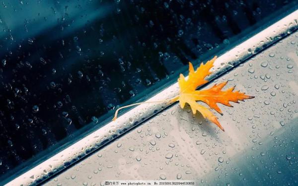 《中秋賦》 《中秋賦》