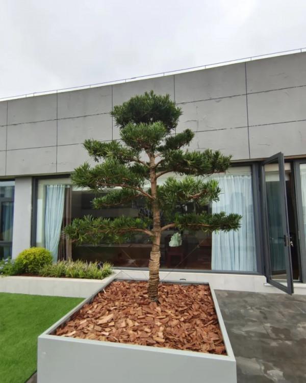 再傻不買頂樓？買頂層住房，真的弊大於利嗎？