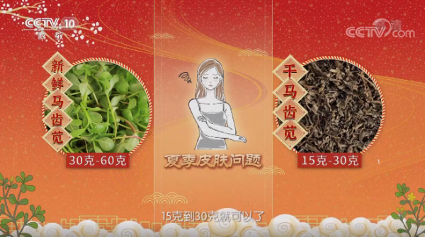 「健康過大年」過節選物看這裡 挑選菊花有講究 明目要選杭白菊