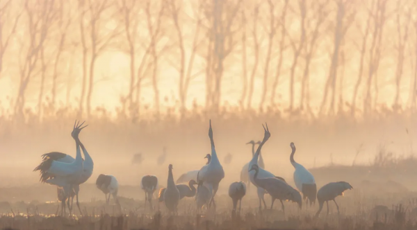 中國最美沿海公路，坐擁5大海島，一路駛向大海，山海風光絕美