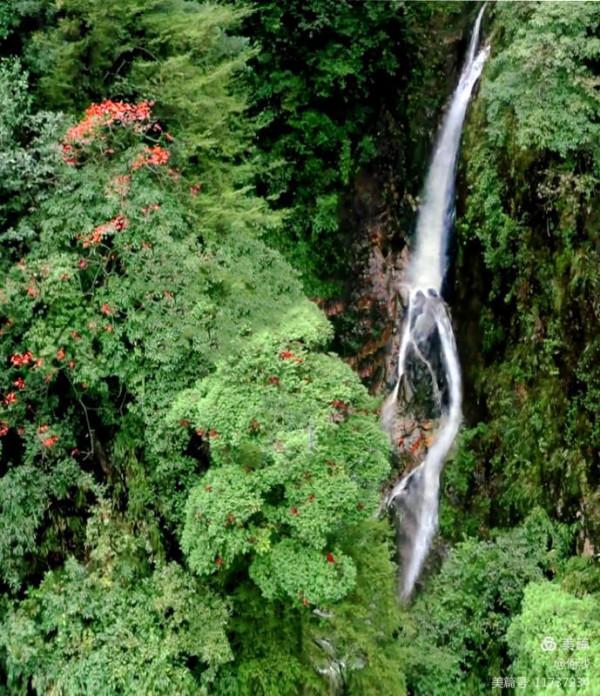 大美莽山(上) 大美莽山(上)